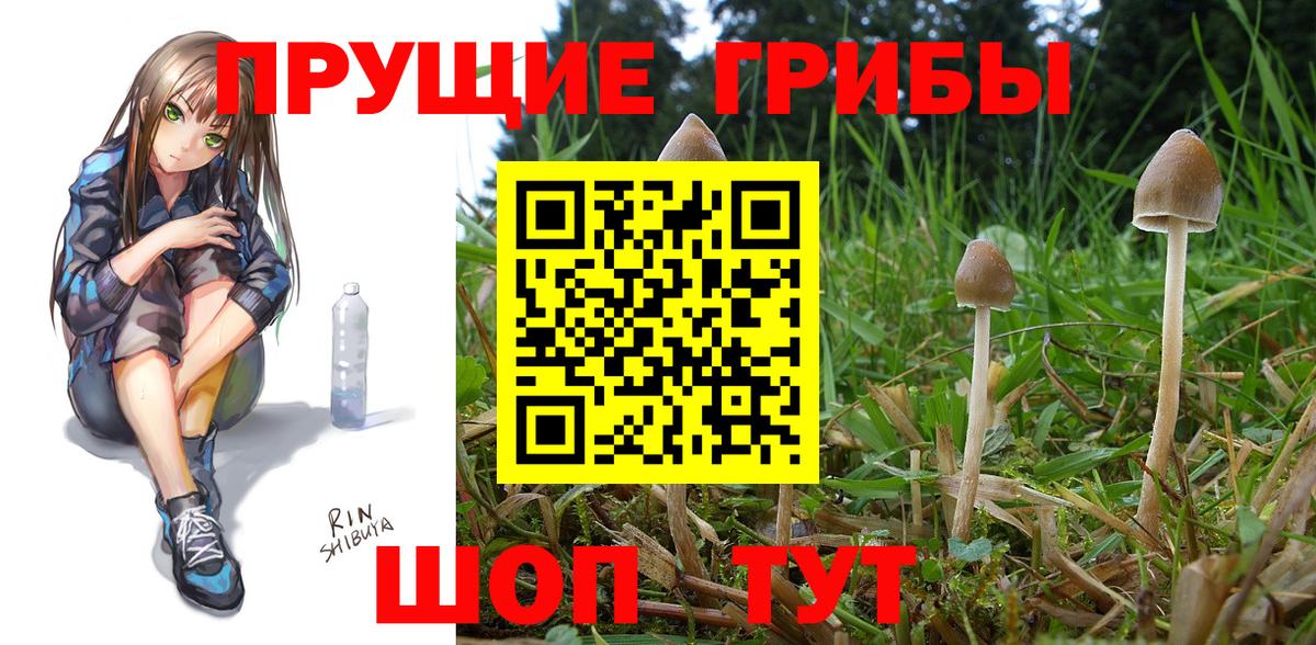 Псилоцибиновые грибы прущие грибы Ирбит