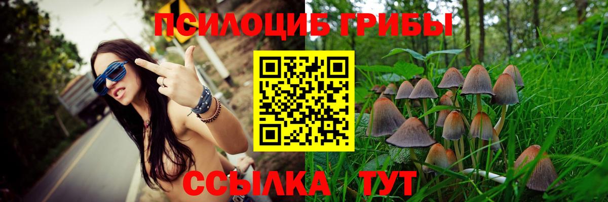 Псилоцибиновые грибы GOLDEN TEACHER  Вход с VPN  Ирбит 